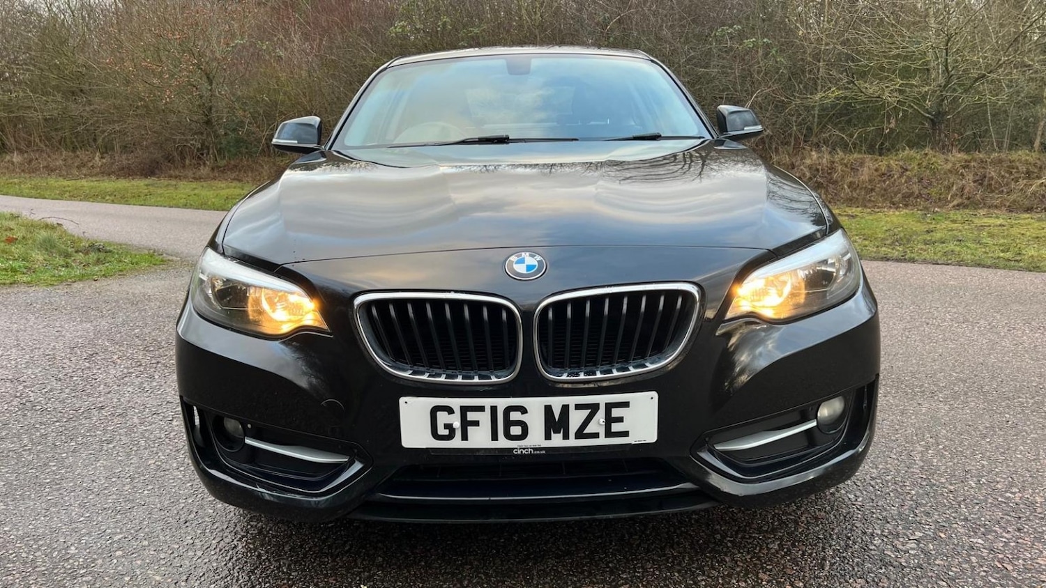 Used BMW 2 Series 2016 for sale - 77318319: Photo 7