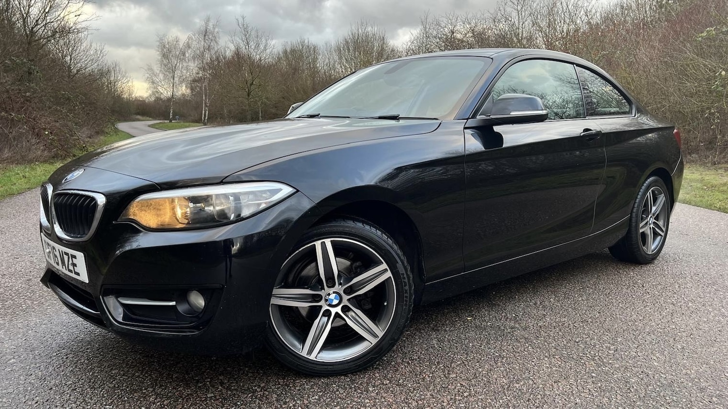 Used BMW 2 Series 2016 for sale - 77318319: Photo 9