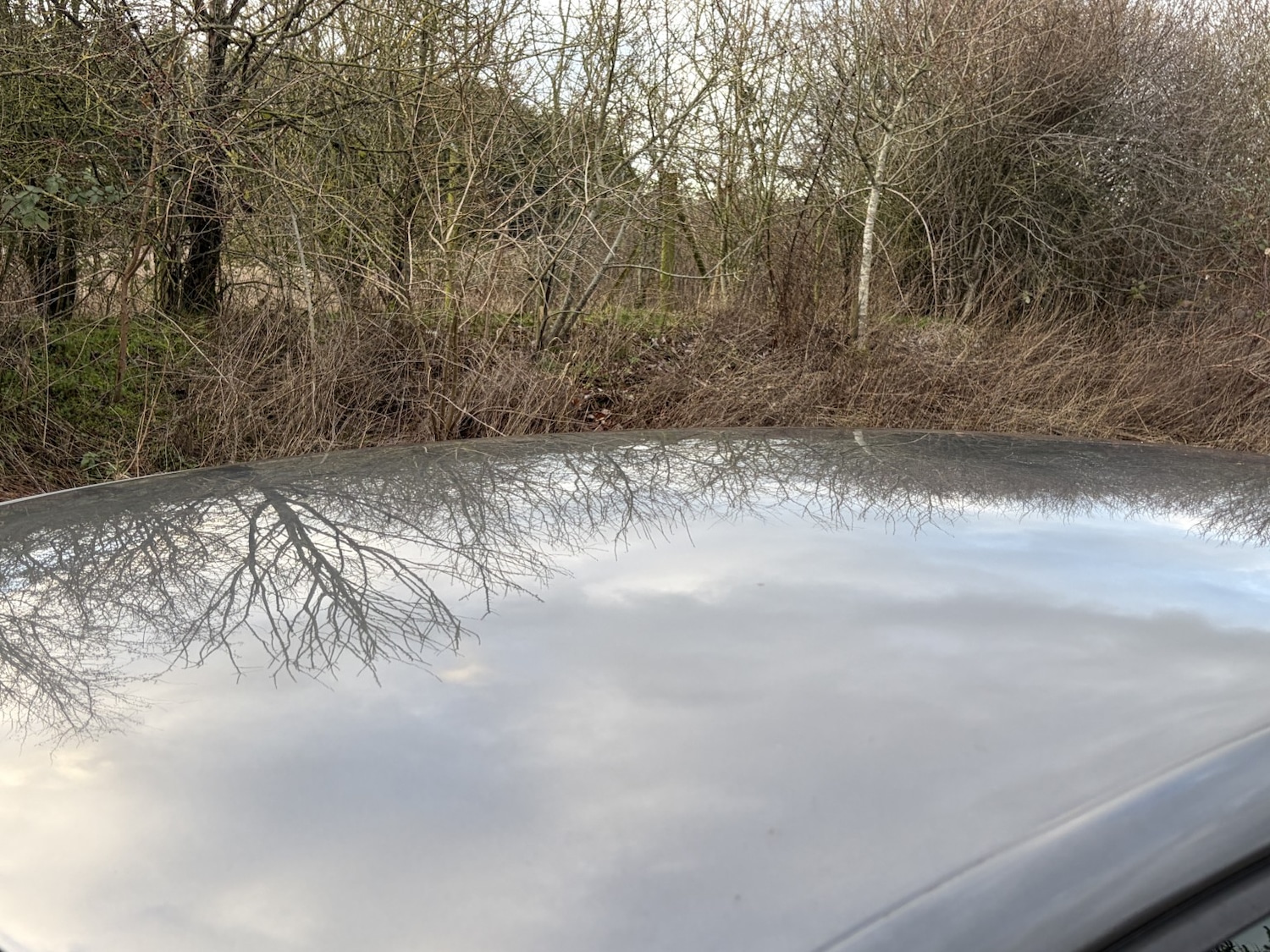 Used Volkswagen Polo 2011 for sale - 77363640: Photo 19