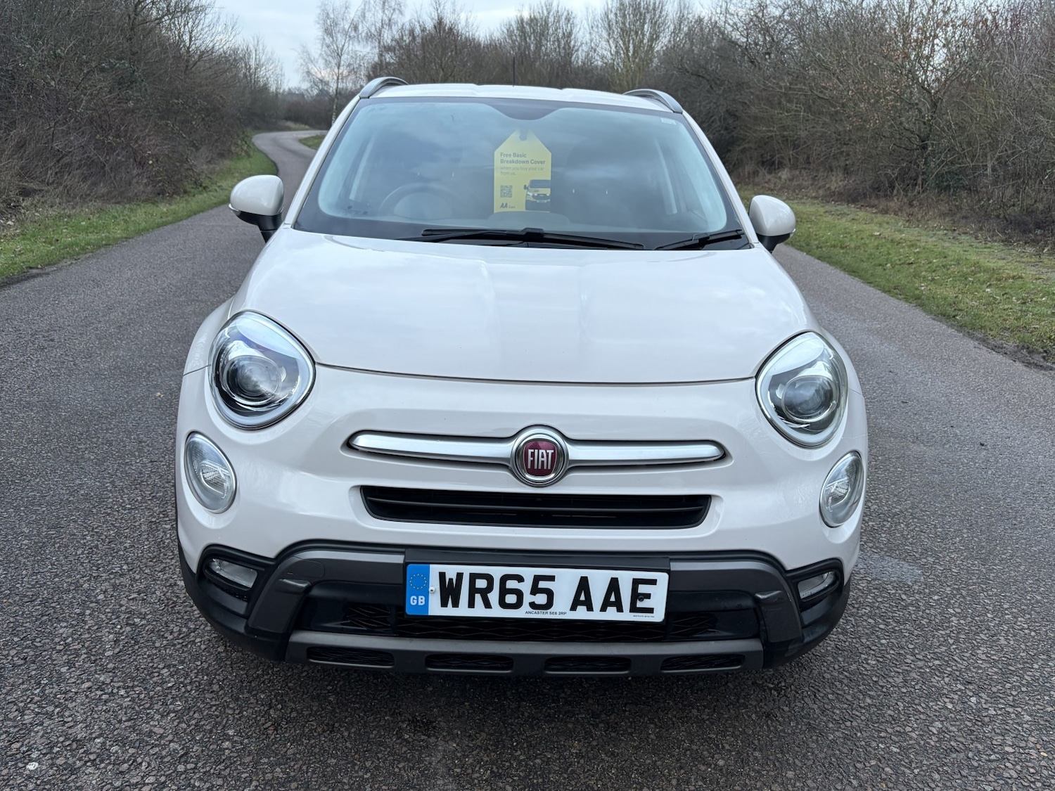 Used Fiat 500X 2015 for sale - 77459942: Photo 5