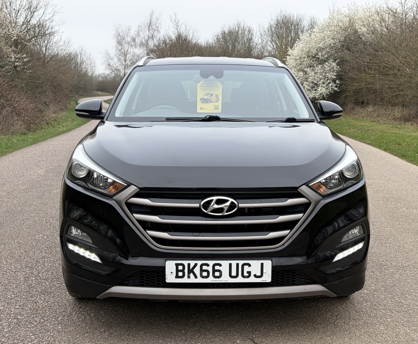 Used Hyundai TUCSON 2016 for sale - 77774720: Photo 6