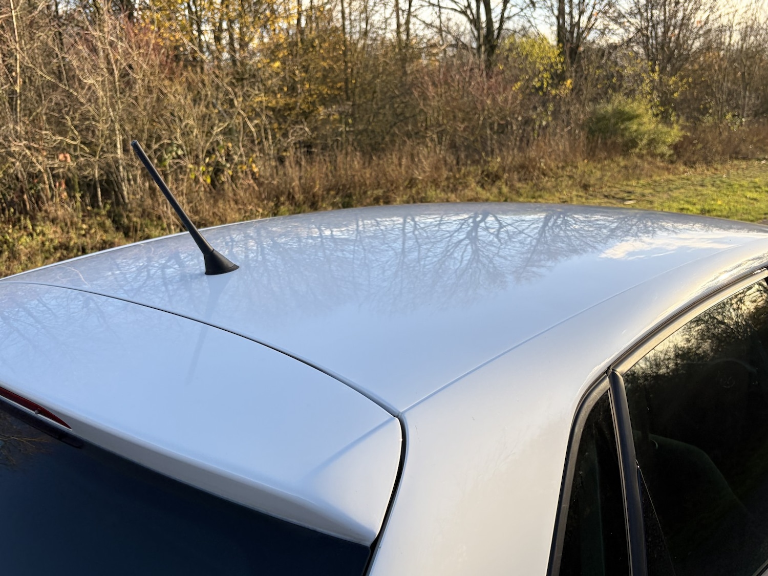 Used Volkswagen Polo 2013 for sale - 76830385: Photo 14