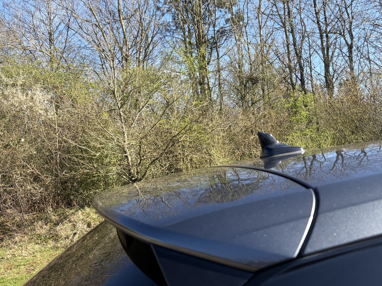 Used Audi Q2 2020 for sale - 77945717: Photo 18