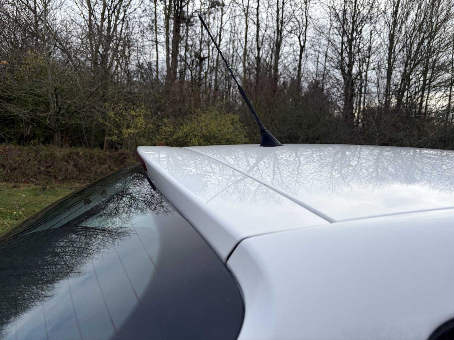 Used SEAT Ibiza 2012 for sale - 76979557: Photo 16