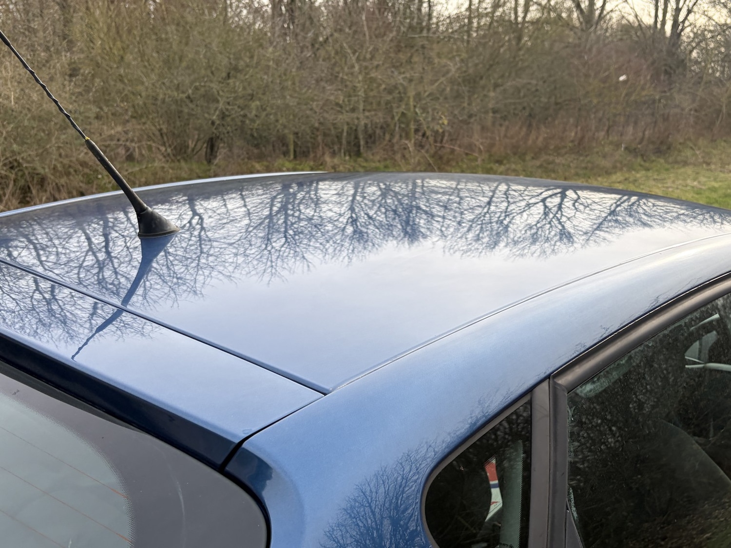 Used SEAT Ibiza 2012 for sale - 77603363: Photo 17