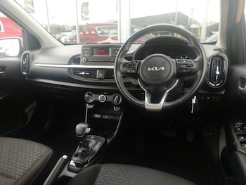 Used Kia Picanto 2023 for sale - 77939063: Photo