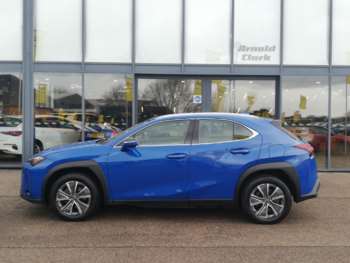 Used Lexus UX 2024 for sale - 74218972: Photo