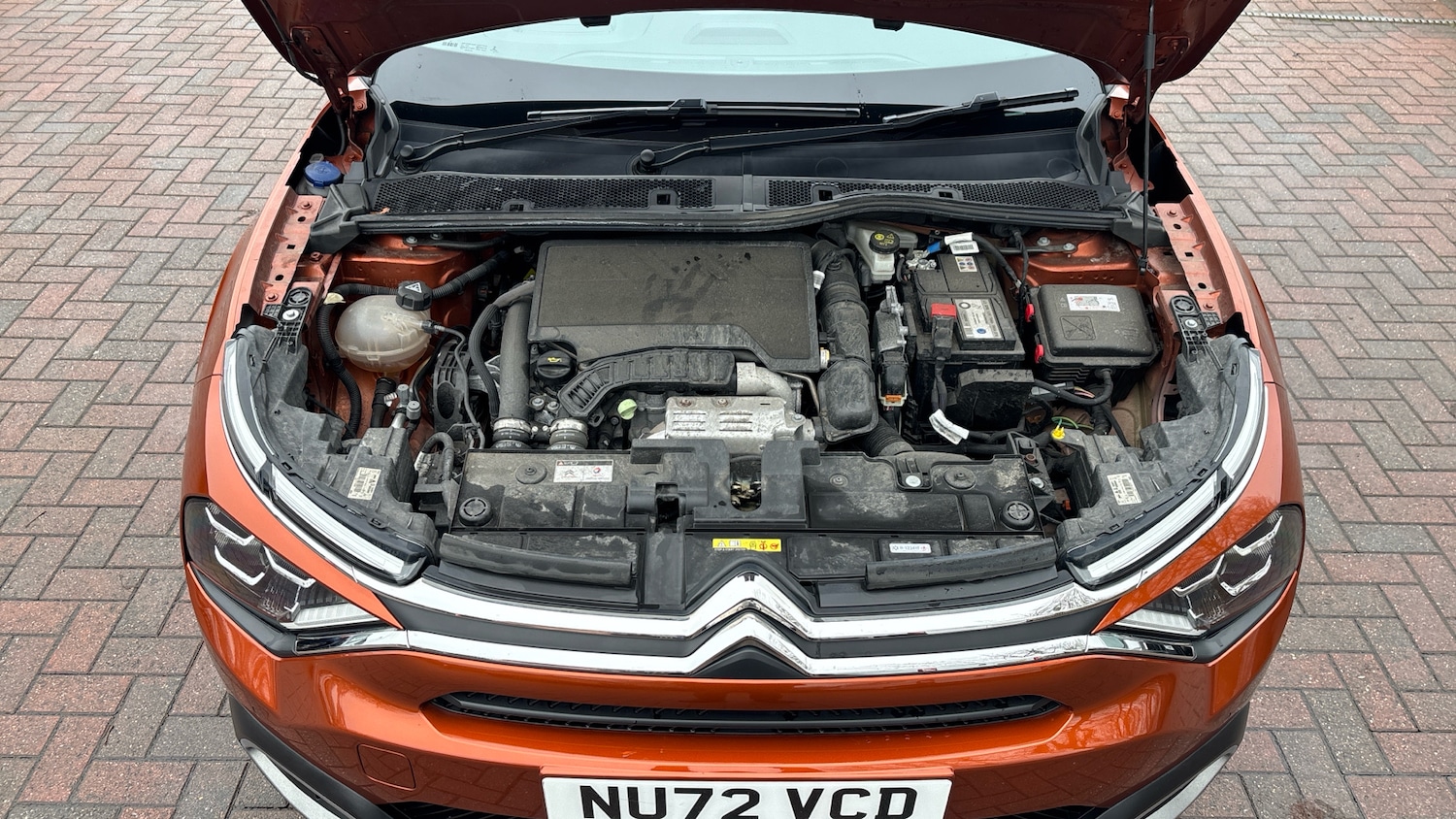 Used Citroen C4 2022 for sale - 77340229: Photo 8