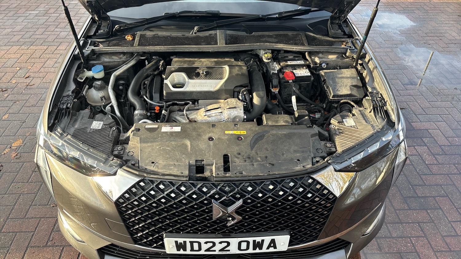 Used DS Automobiles DS 4 2022 for sale - 77405638: Photo 8