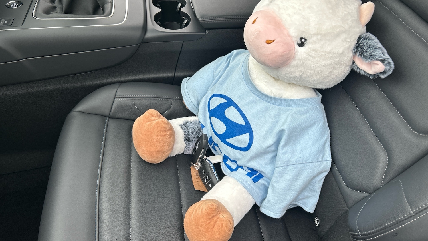 Used Citroen C5 Aircross 2022 for sale - 77718517: Photo 20