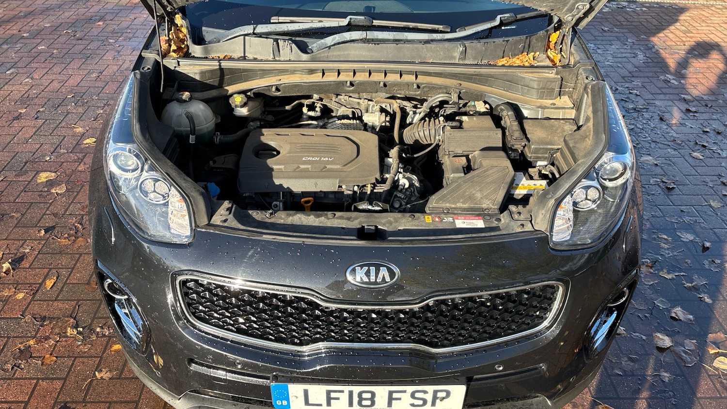 Used Kia Sportage 2018 for sale - 76766821: Photo 8