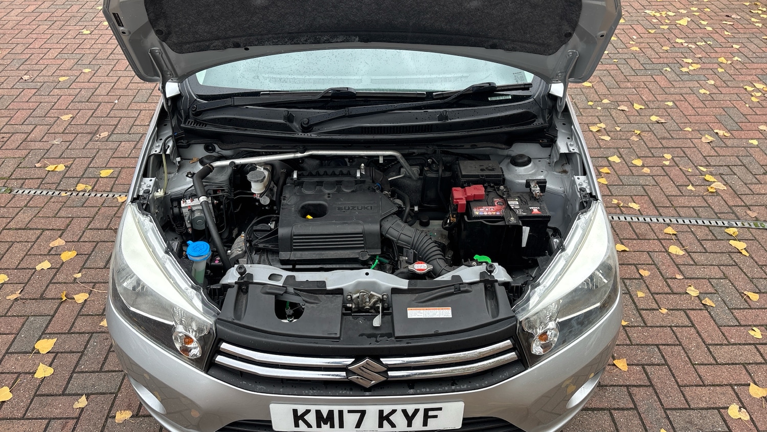 Used Suzuki Celerio 2017 for sale - 76541306: Photo 8