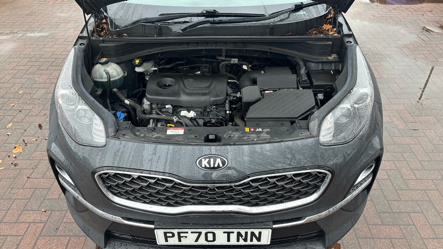 Used Kia Sportage 2021 for sale - 77349785: Photo 8