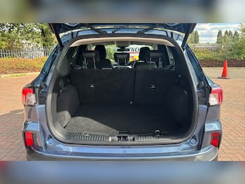 Used Ford Kuga 2023 for sale - 79788419: Photo