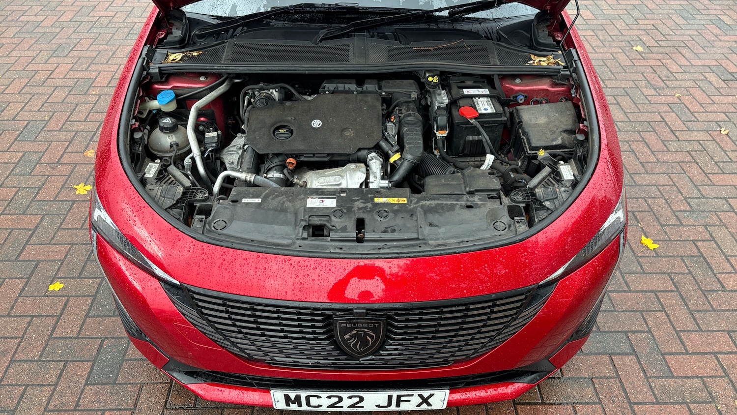 Used Peugeot 308 2022 for sale - 76426251: Photo 8