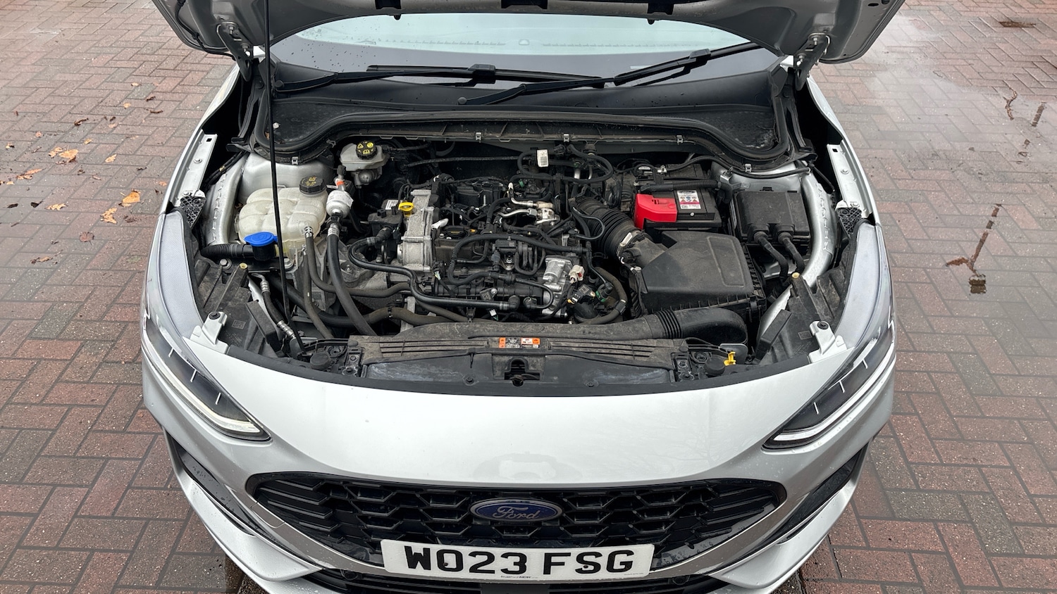 Used Ford Focus 2023 for sale - 77354227: Photo 8