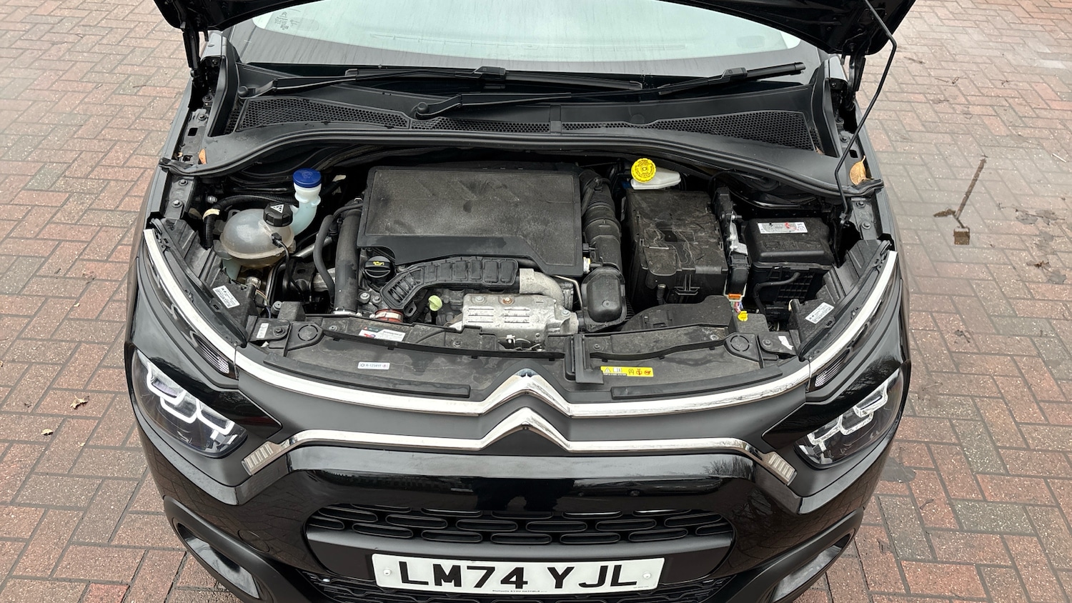Used Citroen C3 2024 for sale - 77004238: Photo 8