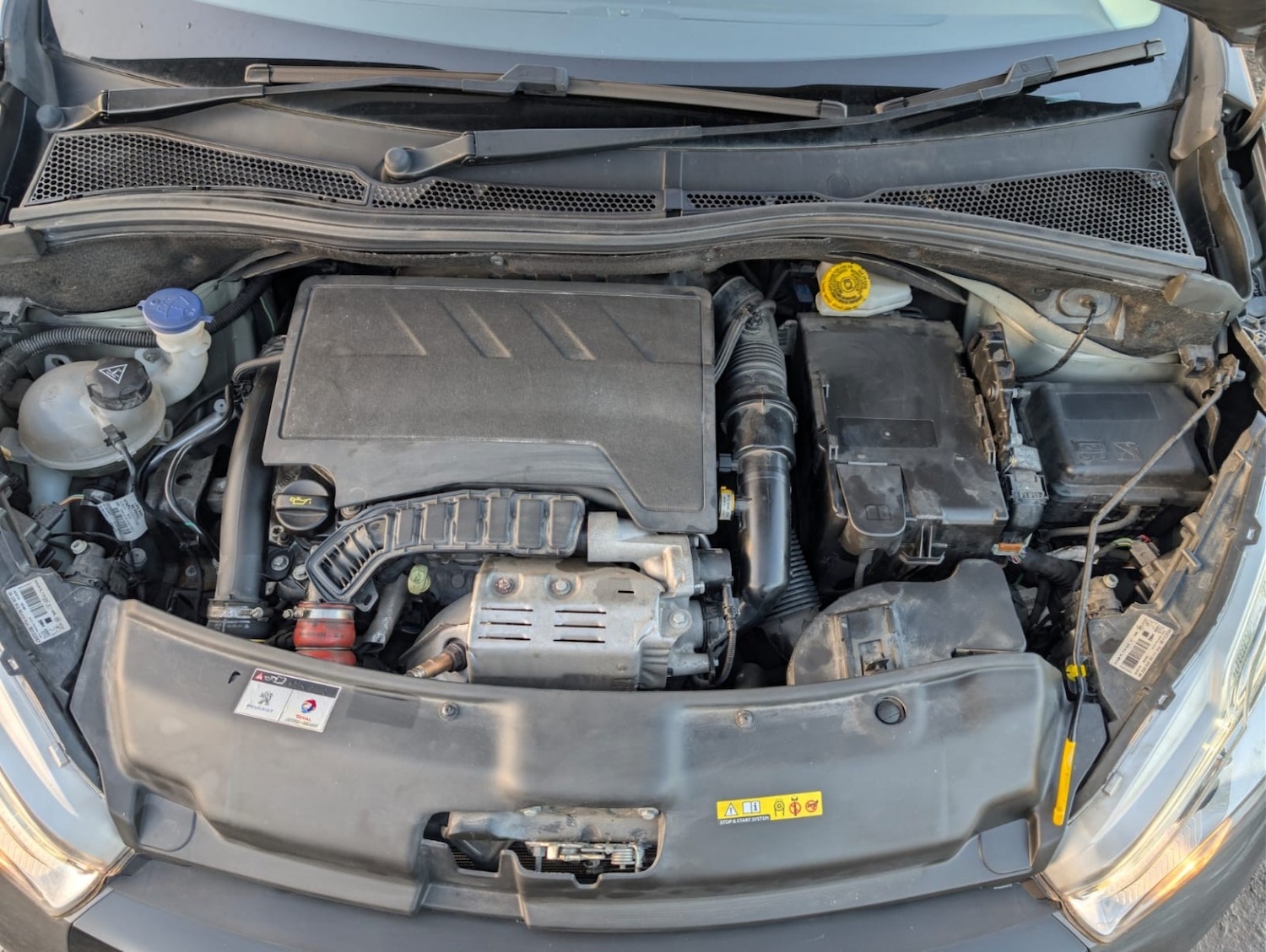 Used Peugeot 208 2019 for sale - 77616341: Photo 13