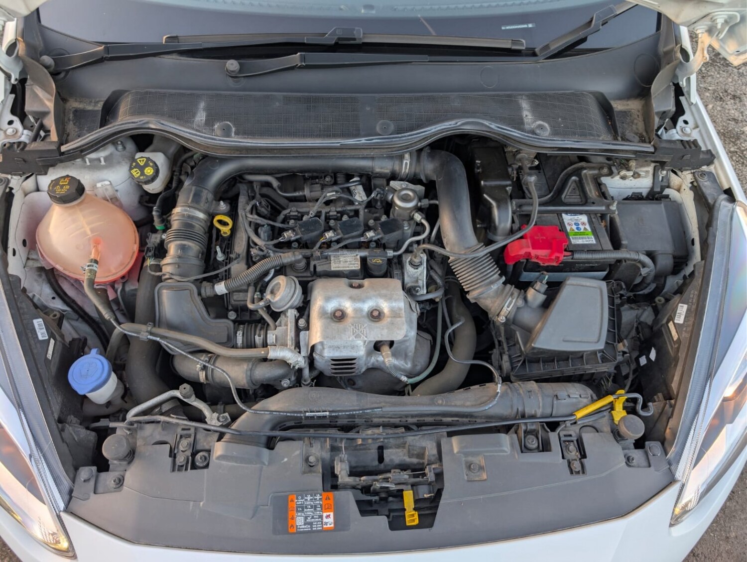 Used Ford Fiesta 2019 for sale - 78202004: Photo 22