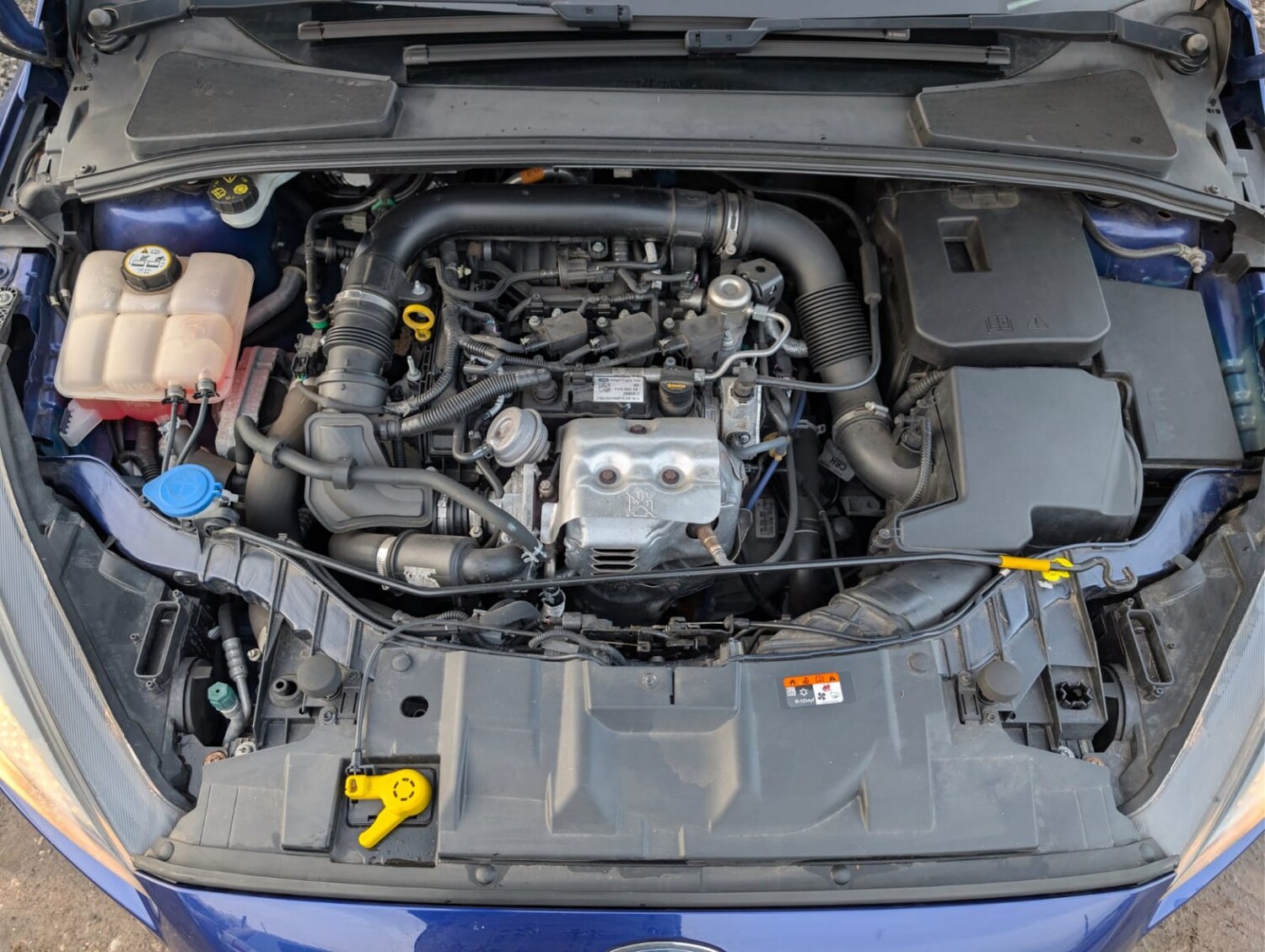 Used Ford Focus 2017 for sale - 77616337: Photo 22