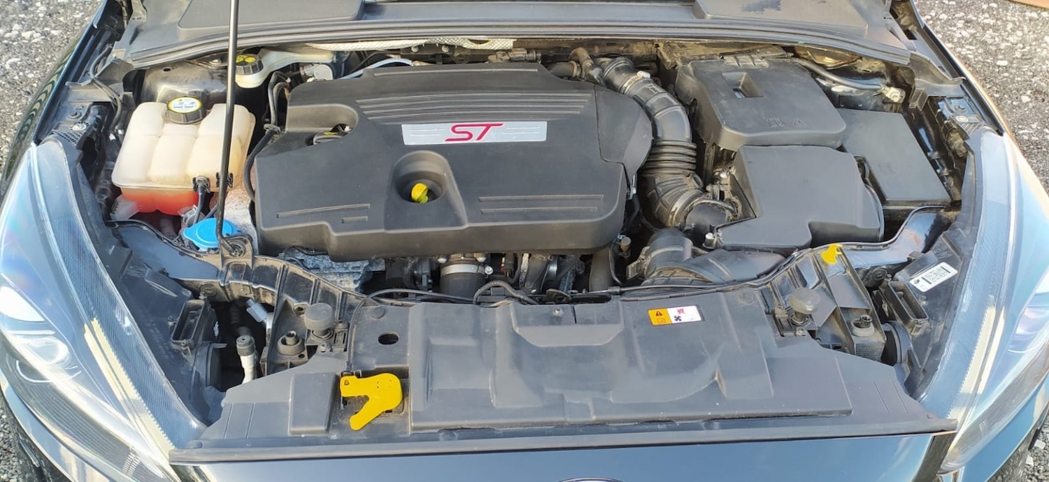 Used Ford Focus 2016 for sale - 76769425: Photo 13