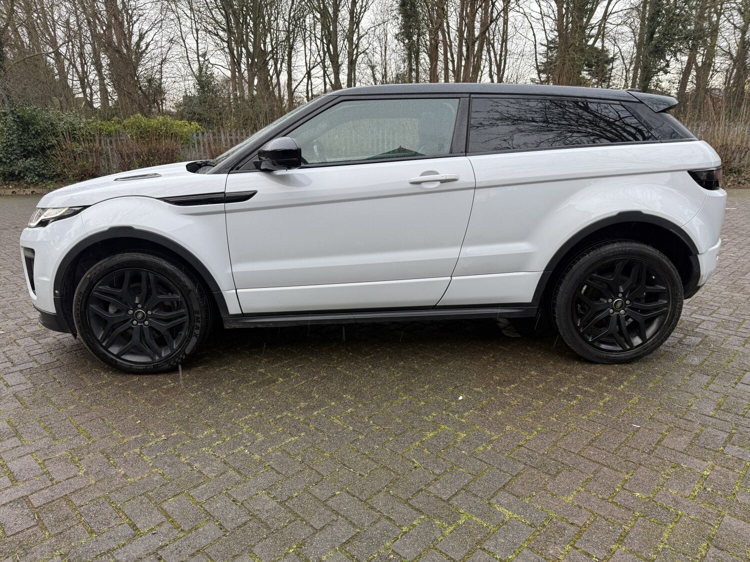 Used Land Rover Range Rover Evoque 2017 for sale - 77754977: Photo 6