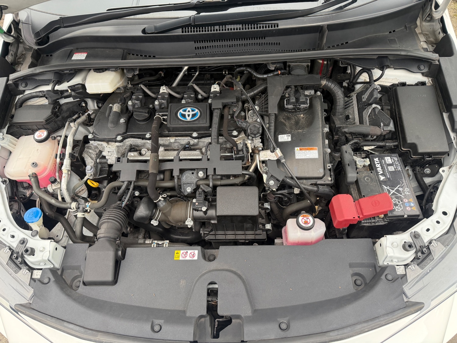 Used Toyota Corolla 2022 for sale - 77716502: Photo 23