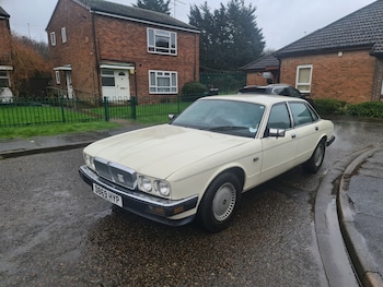 Used Jaguar XJ 1987 for sale - 77548595: Photo
