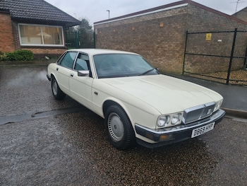 Used Jaguar XJ 1987 for sale - 77548595: Photo