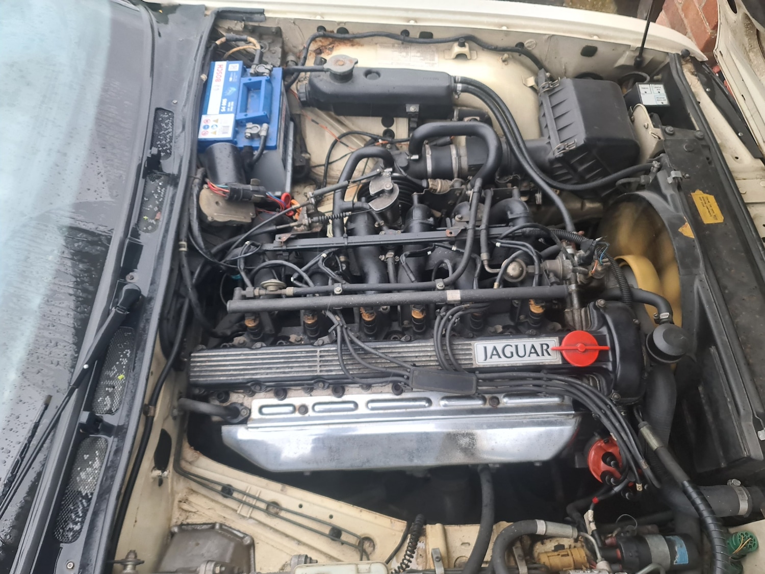 Used Jaguar XJ 1987 for sale - 77548595: Photo 5