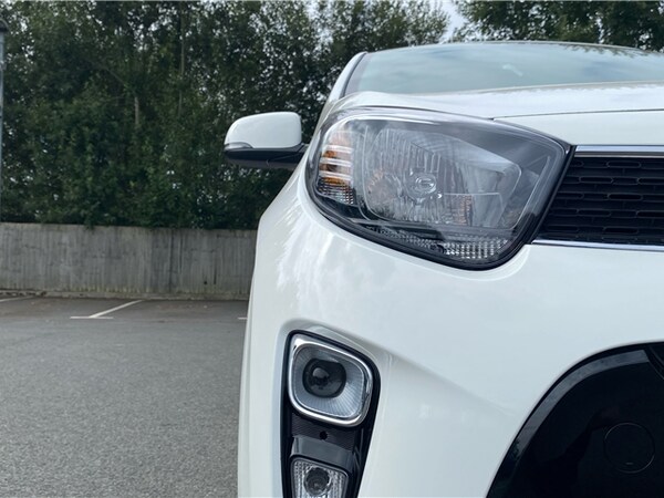Used Kia Picanto 2024 for sale - 76111070: Photo 12