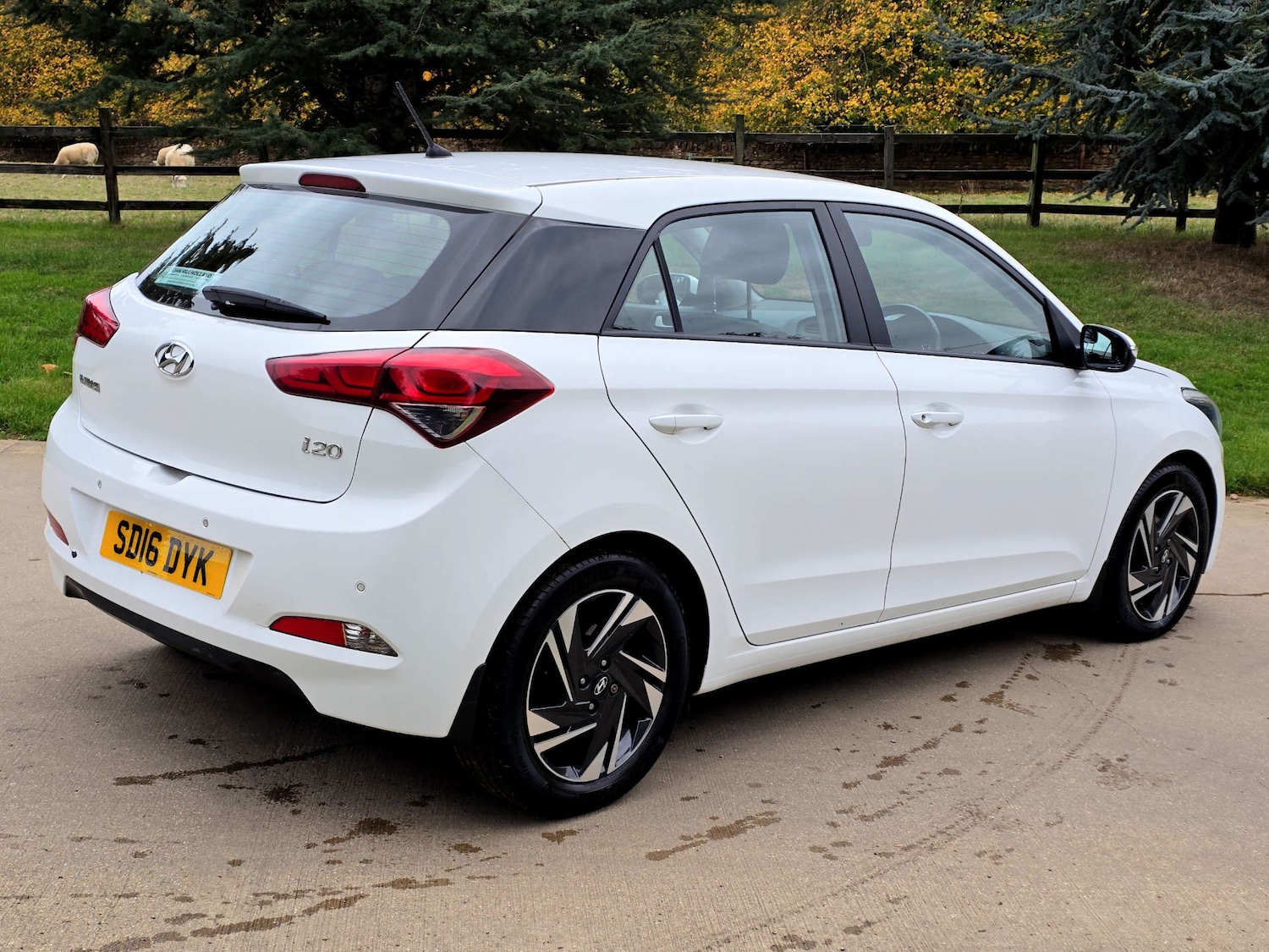 Used Hyundai i20 2016 for sale - 76313302: Photo 3