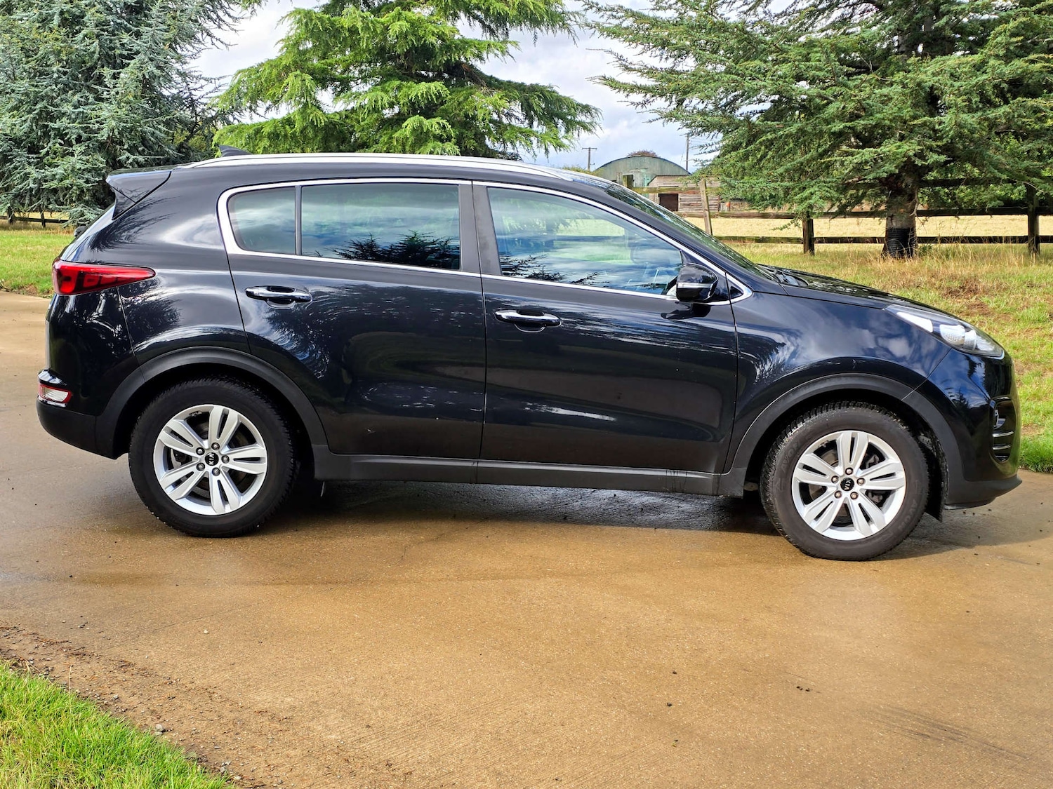 Used Kia Sportage 2017 for sale - 76601701: Photo 2