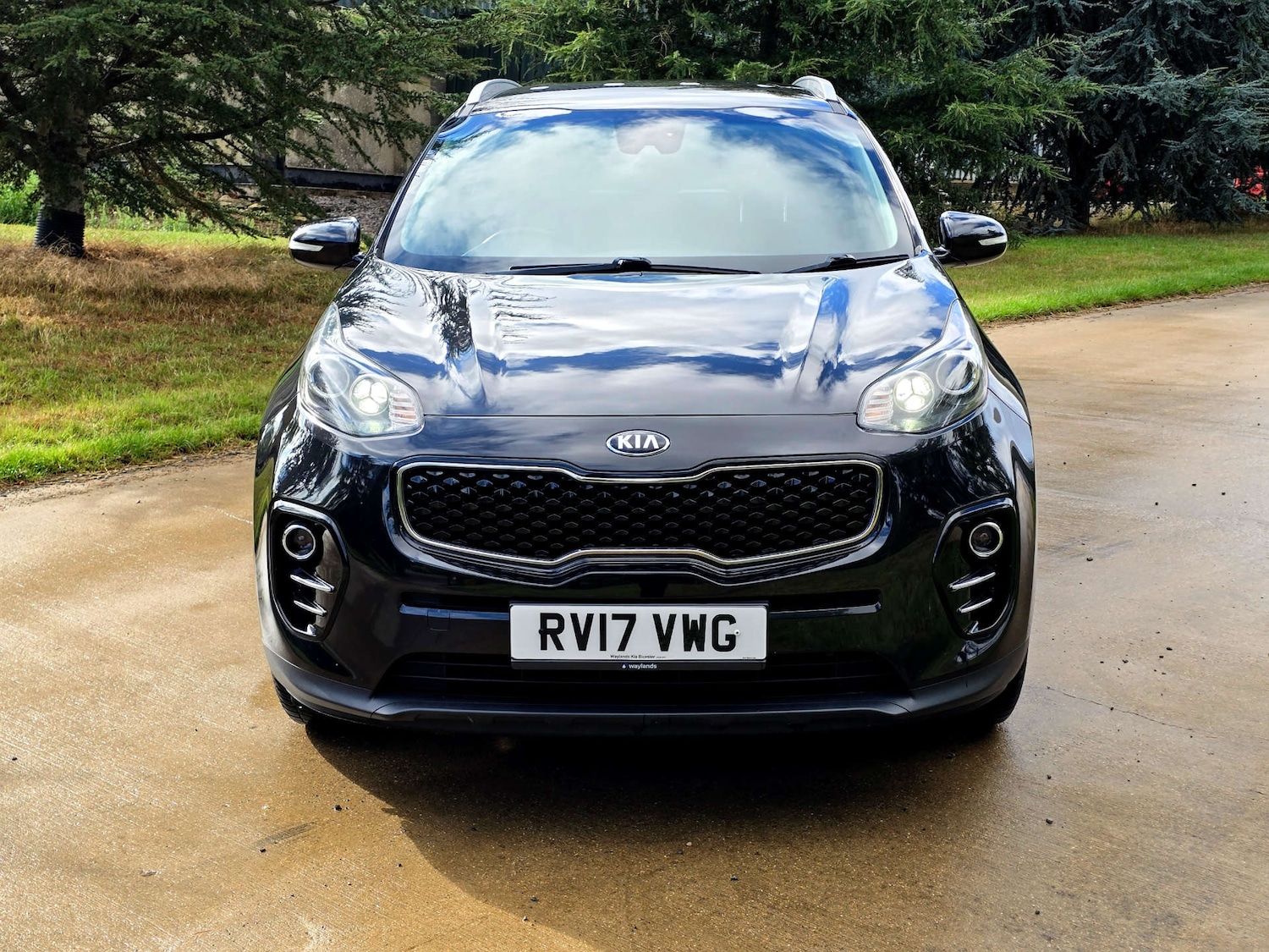 Used Kia Sportage 2017 for sale - 76601701: Photo 8