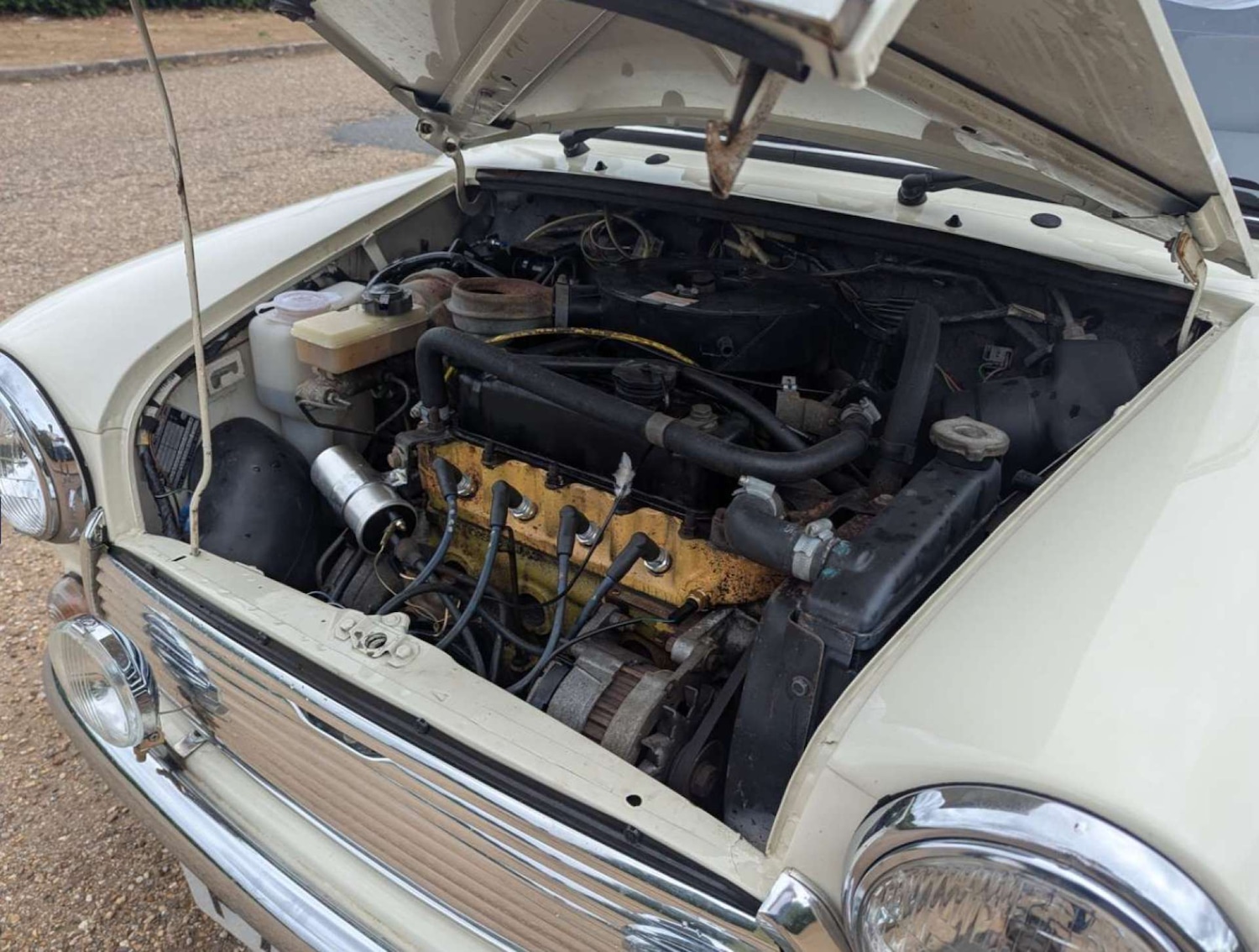 Used Austin Mini 1989 for sale - 76372237: Photo 14