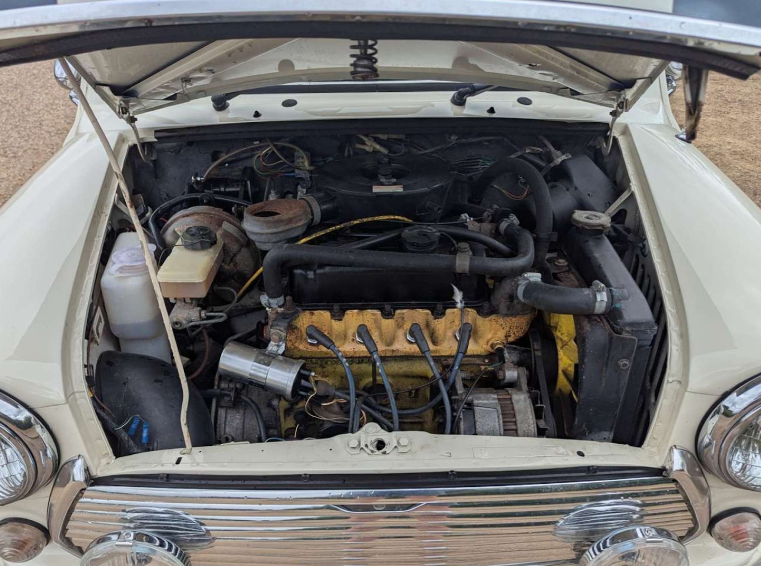 Used Austin Mini 1989 for sale - 76372237: Photo 15