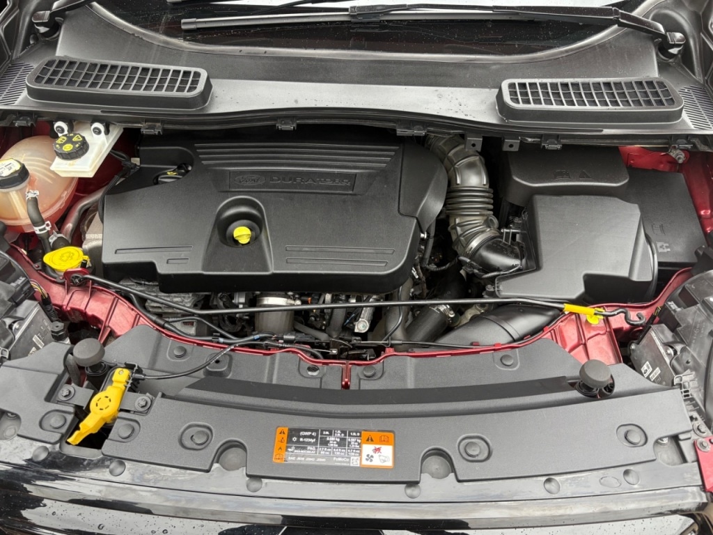 Used Ford Kuga 2019 for sale - 77687807: Photo 12