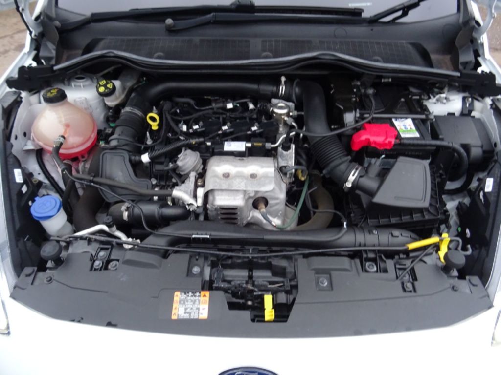 Used Ford Fiesta 2019 for sale - 77195610: Photo 12