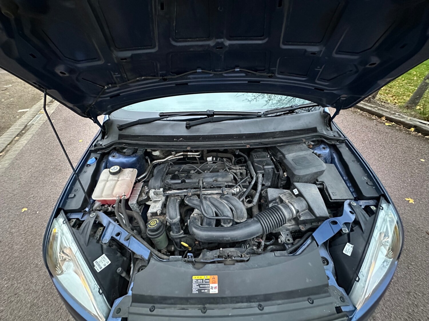 Used Ford Focus 2005 for sale - 77014977: Photo 31