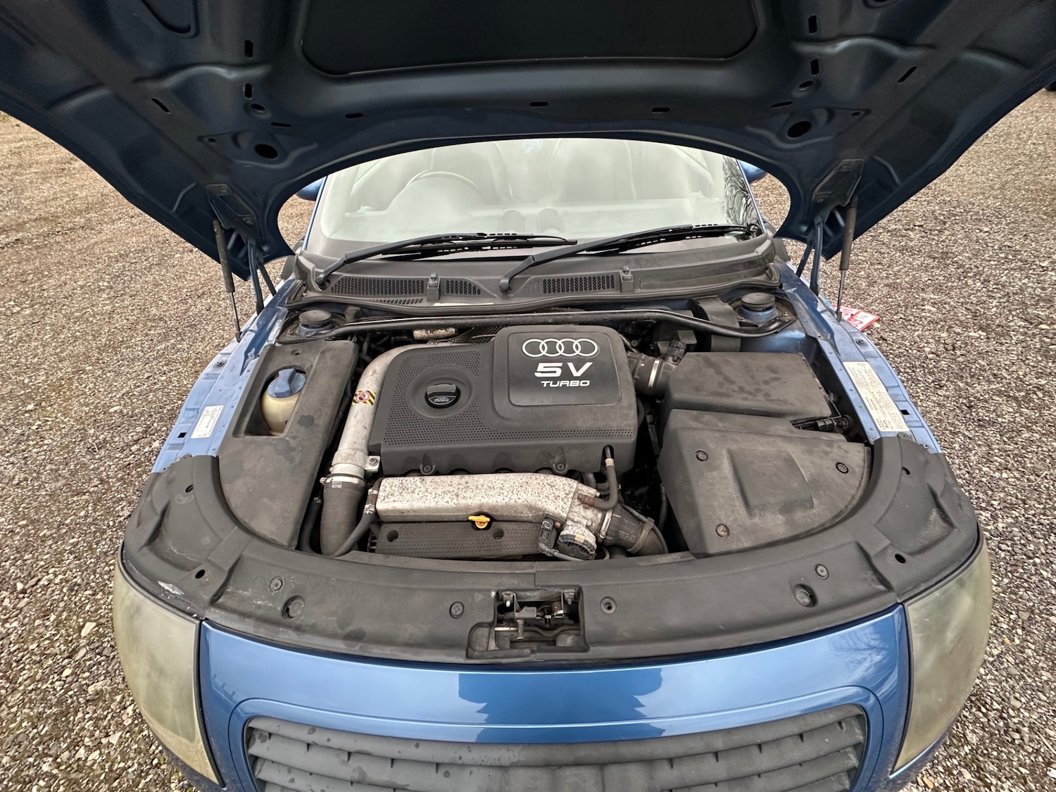 Used Audi TT 2001 for sale - 77681451: Photo 34