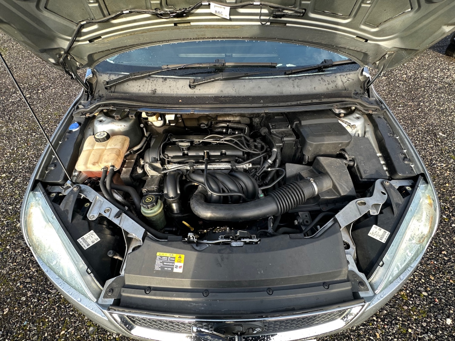 Used Ford Focus 2005 for sale - 77223341: Photo 31