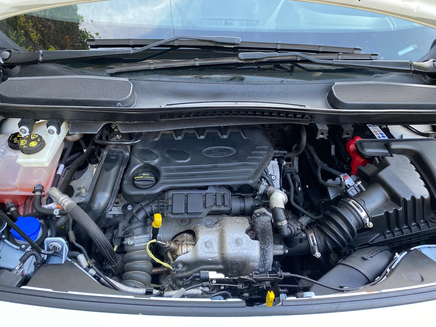 Used Ford Transit Connect 2018 for sale - 77412958: Photo 17