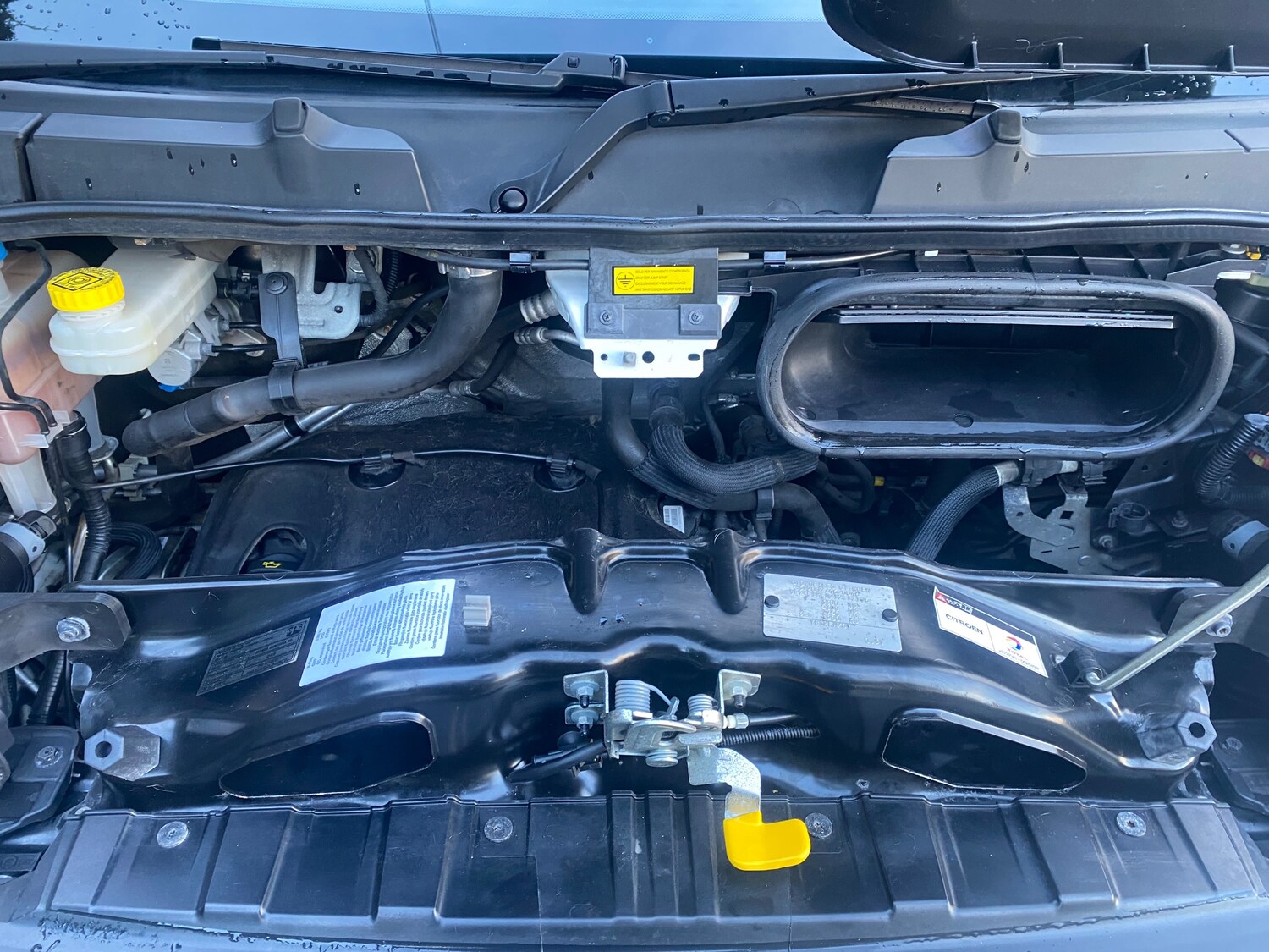 Used Citroen Relay for sale - 78087968: Photo 20