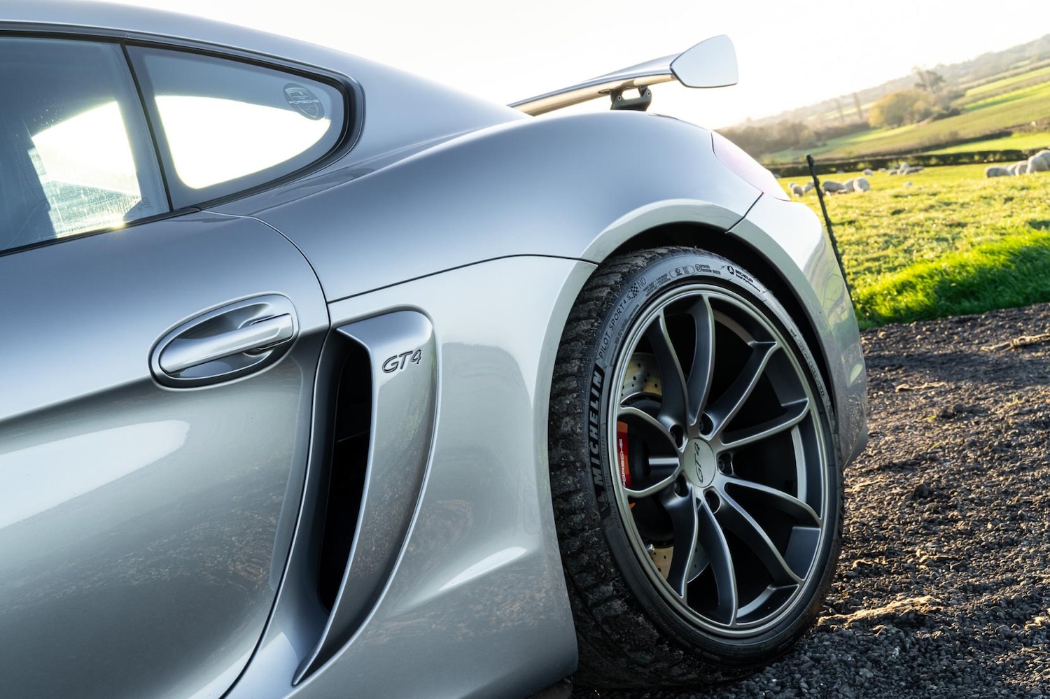 Used Porsche Cayman 2016 for sale - 76650026: Photo 3