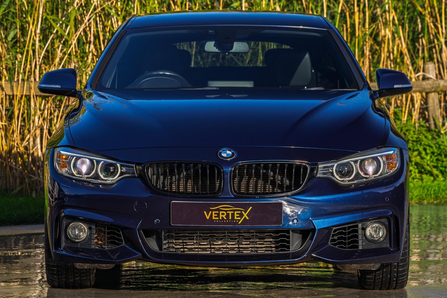 Used BMW 4 Series Gran Coupe 2016 for sale - 76394048: Photo 11