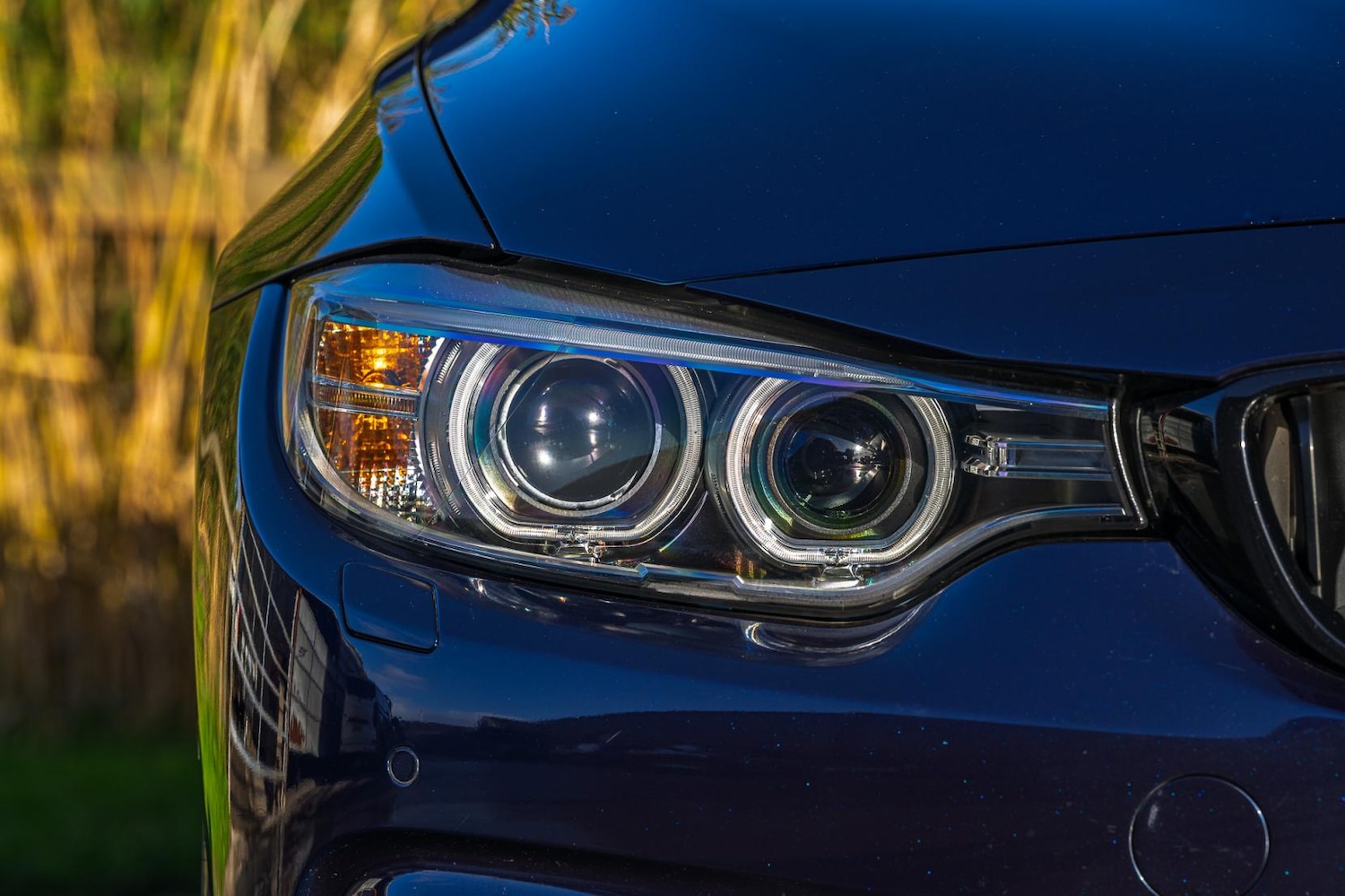 Used BMW 4 Series Gran Coupe 2016 for sale - 76394048: Photo 12