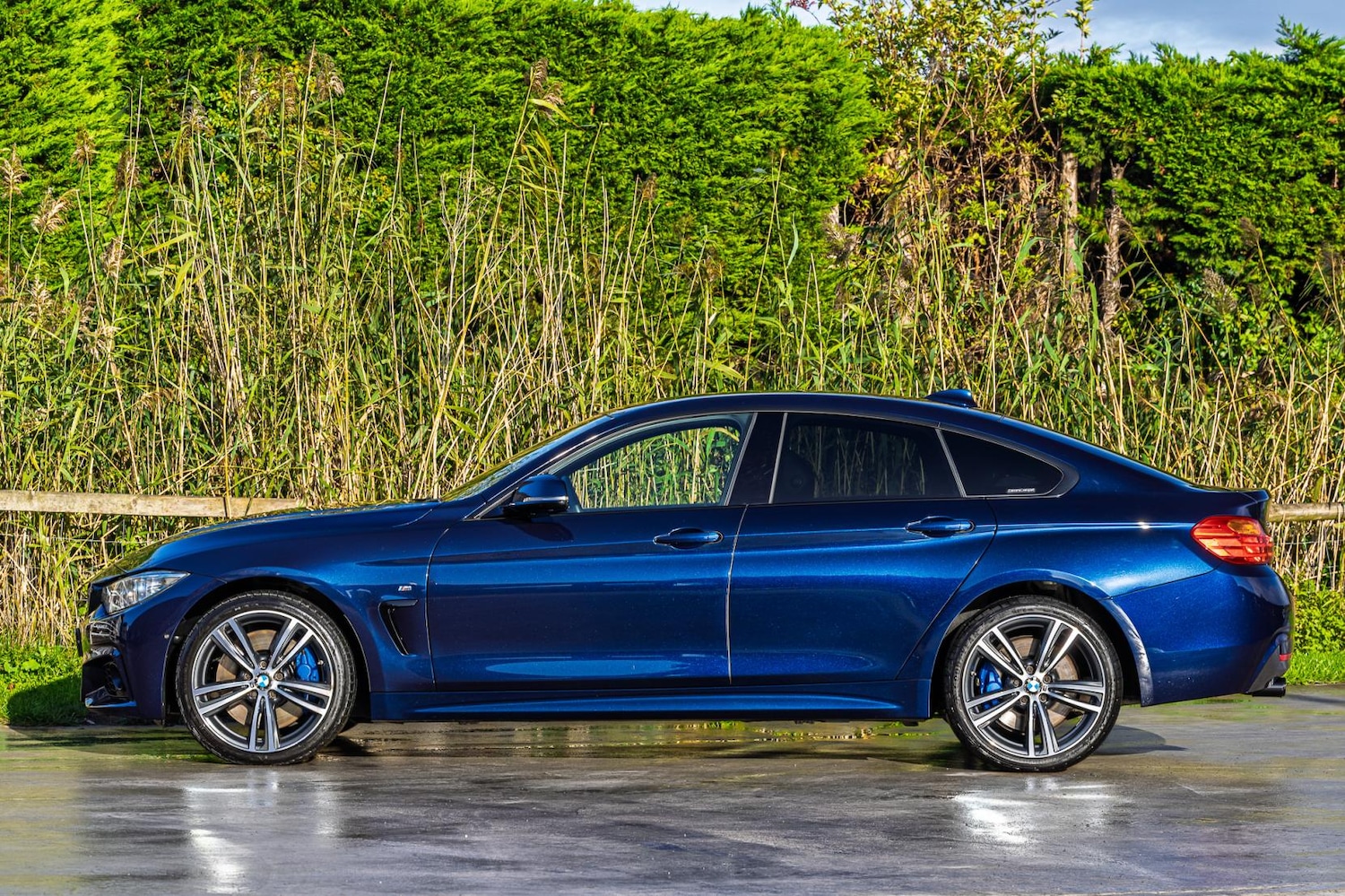 Used BMW 4 Series Gran Coupe 2016 for sale - 76394048: Photo 2