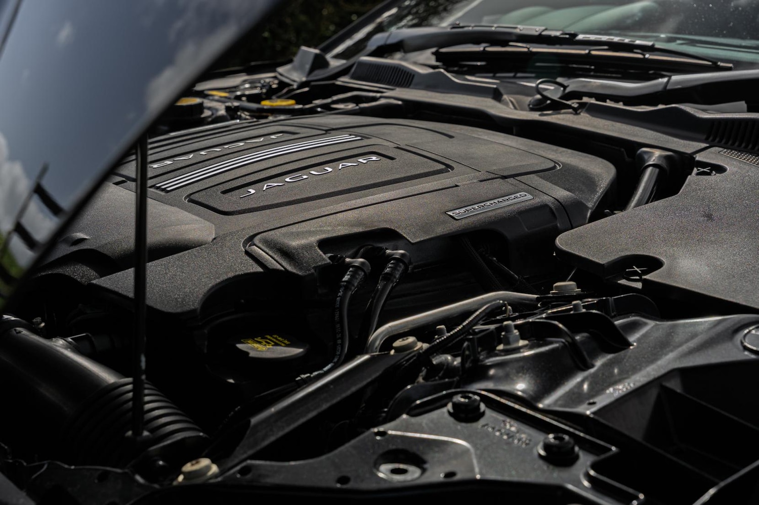 Used Jaguar F-Type 2014 for sale - 77877839: Photo 40