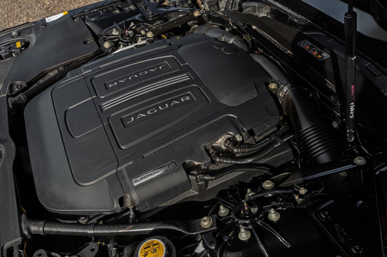 Used Jaguar F-Type 2014 for sale - 77877839: Photo 41