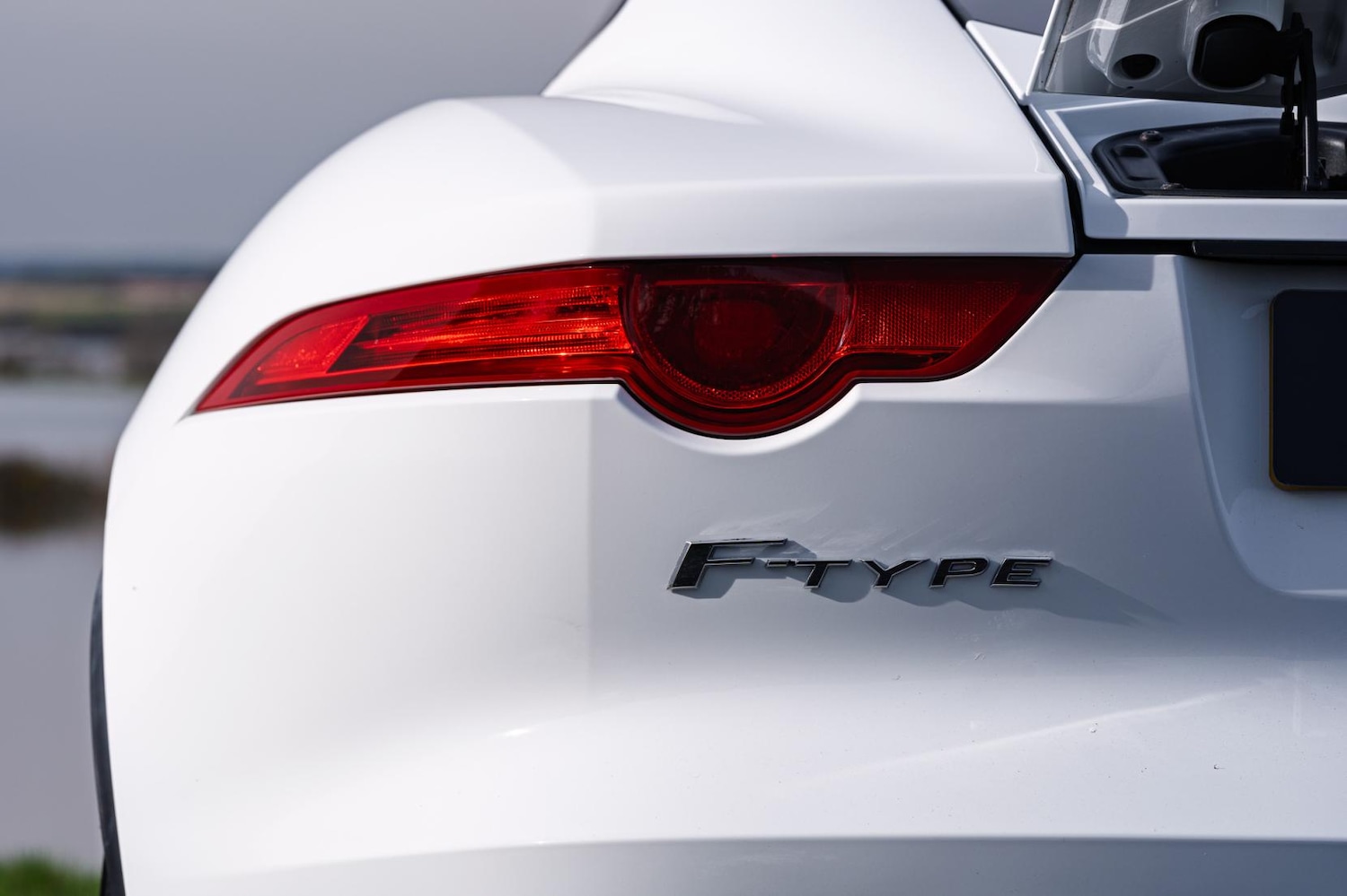 Used Jaguar F-Type 2014 for sale - 77581561: Photo 10